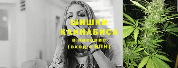 мдпв Иннополис
