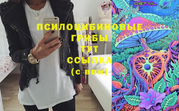 mix Инта