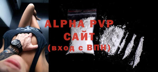 mix Инта
