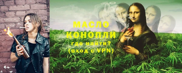 mix Инта