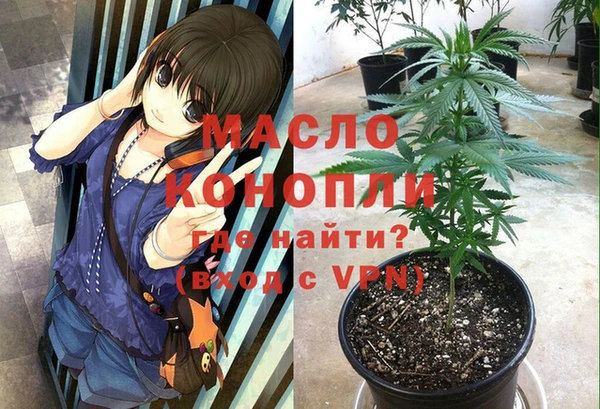 mix Инта