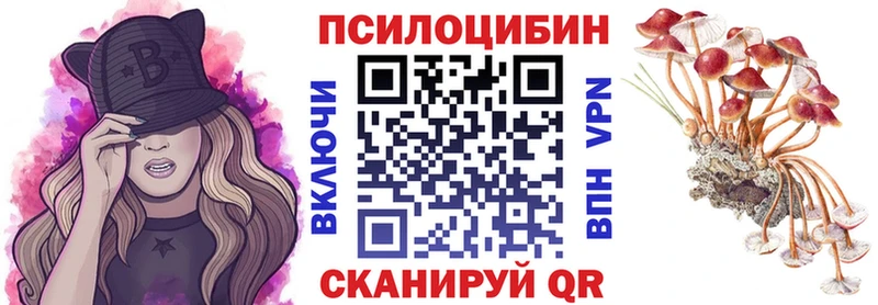 Галлюциногенные грибы Psilocybine cubensis  Купить где  Балабаново 